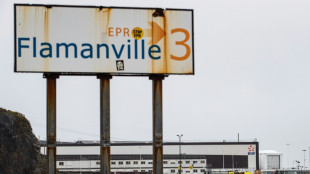 EPR de Flamanville: la r&eacute;action nucl&eacute;aire a repris apr&egrave;s un arr&ecirc;t