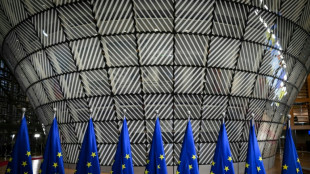 Climat: les Etats europ&eacute;ens se contentent d'un compromis a minima pour 2035