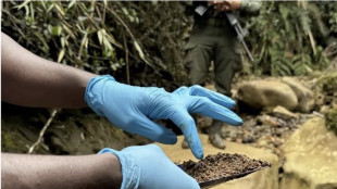 Onu, 'gang criminali controllano l'estrazione di oro in Ecuador'