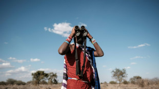 Kenya: mon&eacute;tiser oiseaux ou girafes pour mieux prot&eacute;ger humains et nature