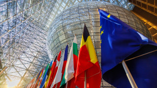 Ue, 'attendiamo chiarezza dagli Usa sui dazi dopo la Corte Suprema'