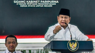 Incendies en Indon&eacute;sie : le pr&eacute;sident d&eacute;nonce les "insultes" de l'&eacute;tranger et un "terrorisme environnemental" interne