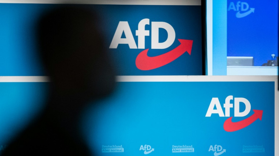 AfD zu Bundesparteitag in Magdeburg zusammengekommen