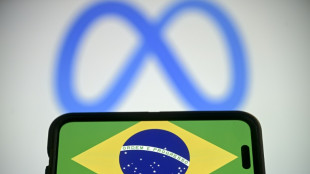 Expertos de la ONU instan a Meta a proteger la libertad de expresi&oacute;n pol&iacute;tica en las elecciones de Brasil
