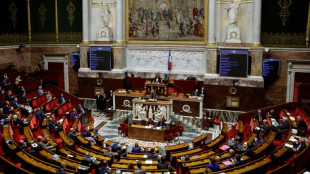 R&eacute;forme des retraites: semaine cruciale, au Parlement et dans la rue