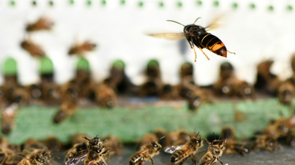 La strat&eacute;gie nationale biodiversit&eacute; lanc&eacute;e, ainsi qu'un plan contre les esp&egrave;ces exotiques envahissantes