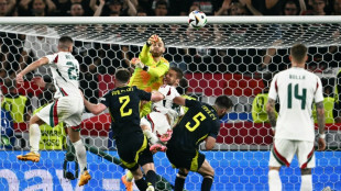 Euro-2024: l'attaquant hongrois Varga &eacute;vacu&eacute; sur civi&egrave;re apr&egrave;s une chute sur la nuque