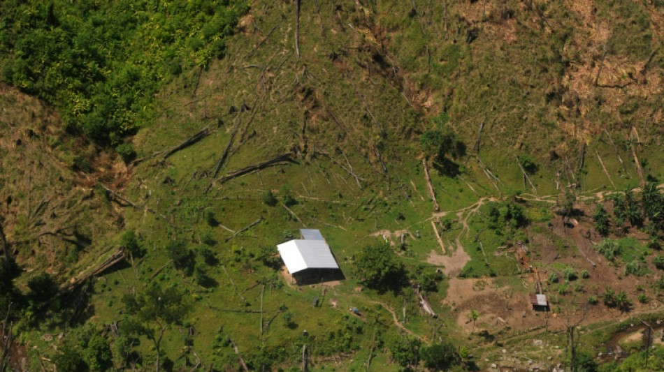 Honduras denuncia un boicot de "ocupantes de tierras" a un plan contra la deforestaci&oacute;n