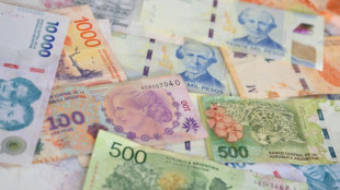 Argentine peso, stocks fall after ruling party's election setback