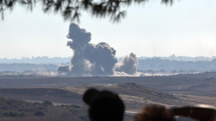Wafa, '15 morti negli attacchi dell'Idf nel sud di Gaza'