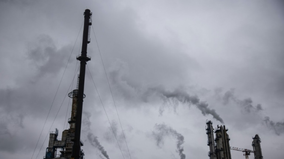 Prix du gaz: au Havre, la production d'ammoniac pour les engrais red&eacute;marre apr&egrave;s trois semaines d'arr&ecirc;t
