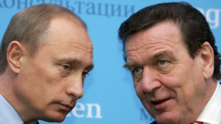 Scholz rechnet mit Informationen &uuml;ber Schr&ouml;ders angebliches Treffen mit Putin