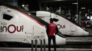 SNCF: la grève des chefs de bord perturbe peu le trafic TGV