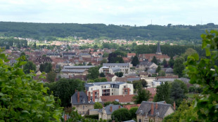 Une ville propose "une prime &agrave; l'accouchement", 4 syndicats de m&eacute;decins indign&eacute;s