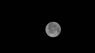 Artemis-Astronauten sehen Mond wie kein Mensch vor ihnen