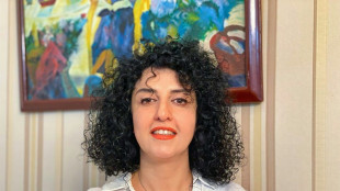 Unterstützer: Iranische Friedensnobelpreisträgerin Mohammadi bei Festnahme verletzt