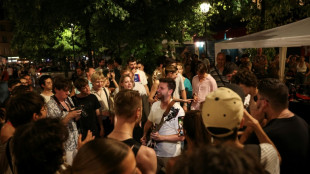 Wave of syringe attacks mar France's street music festival