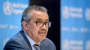 WHO ruft wegen Affenpocken internationalen Gesundheitsnotstand aus