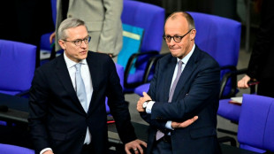 Bürokratieabbau: Wildberger kündigt "Entlastungskabinett" für 5. November an