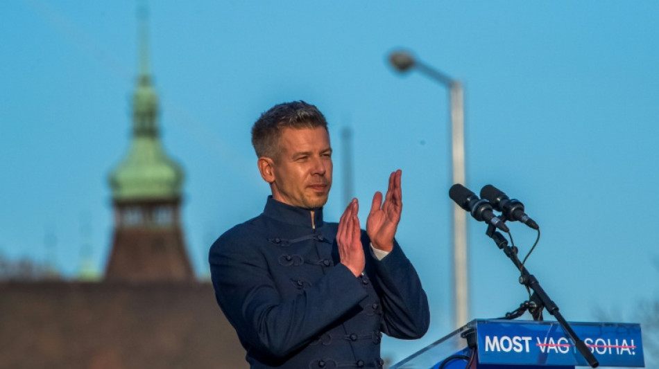 Peter Magyar: former govt insider promising system change