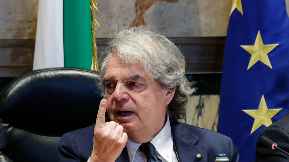 Il Cnel, compensi? Mero adempimento sentenza costituzionale