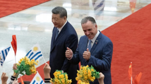 Xi defende mundo multipolar 'ordenado'