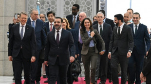 Conselho de Seguran&ccedil;a da ONU afirma estar disposto a apoiar S&iacute;ria durante visita