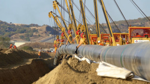 Il prezzo del gas chiude in forte ribasso a 31,4 euro