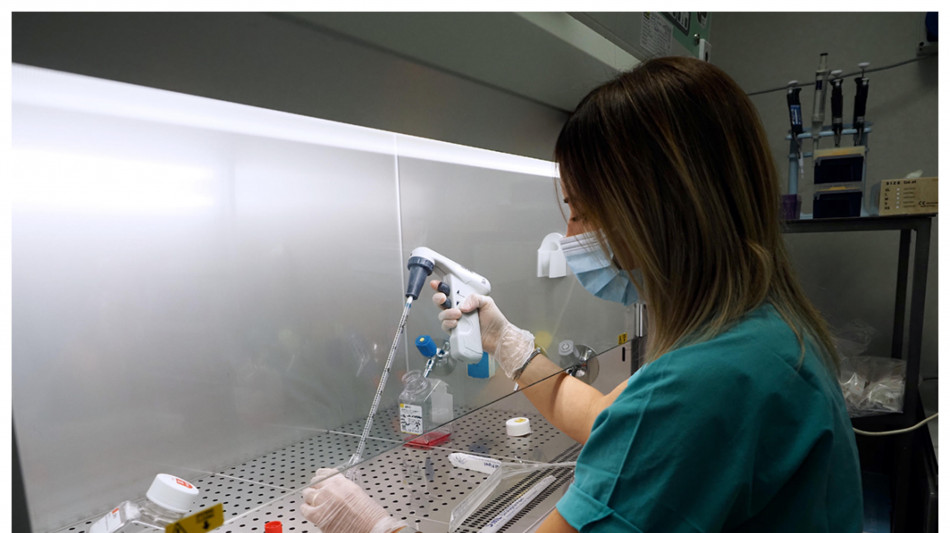 Verso una Crispr-killer, distrugge il Dna delle cellule malate