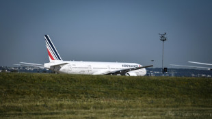 Rassemblement contre l'abandon des liaisons Air France &agrave; Orly