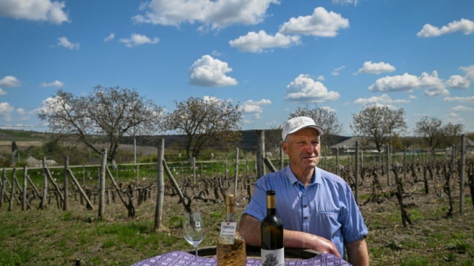 De la Russie &agrave; l'Europe, le pari gagnant des vignes moldaves
