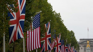 US-Vereinbarung mit London: Pharmazölle bleiben ausgesetzt