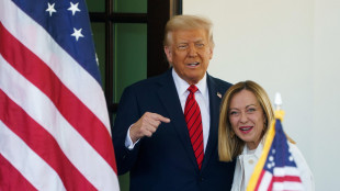 Trump stringe mano a Meloni e scherza, 'chi è questa donna?'