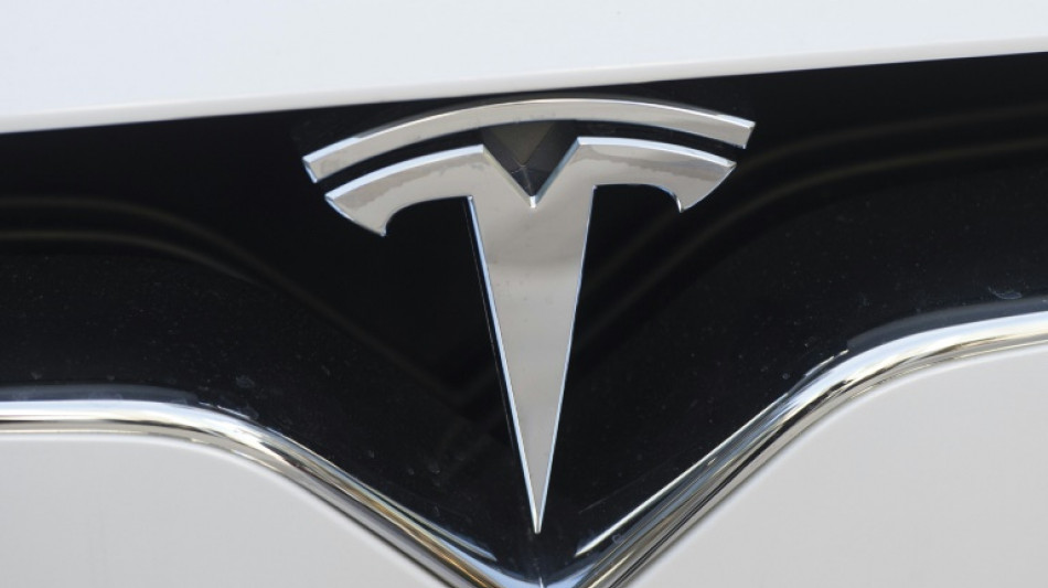 Betriebsratswahl in neuem Tesla-Werk in Brandenburg