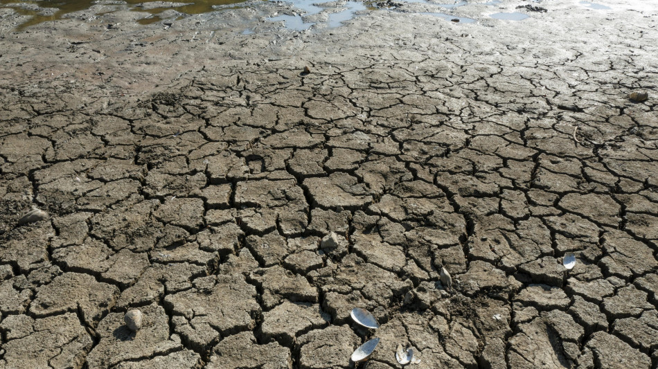 Clima, Copernicus: &egrave; stato il giugno pi&ugrave; caldo di sempre