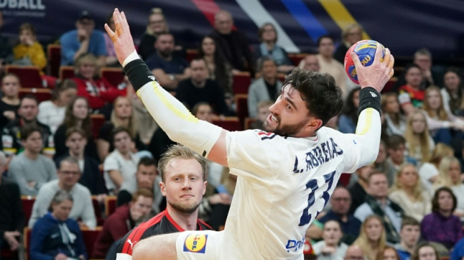 Mondial de hand: les Bleus face aux multiples d&eacute;fis su&eacute;dois en demies 
