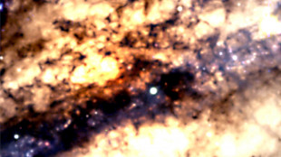 Il telescopio Webb festeggia il 4&deg; compleanno con una galassia insolita