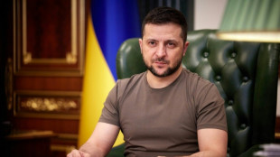 Pr&eacute;sidentielle: le Parlement attend le pr&eacute;sident Zelensky dans une campagne scand&eacute;e par l'Ukraine