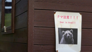 "C'est comme ça que je vais mourir": le Japon terrorisé par des attaques d'ours de plus en plus nombreuses
