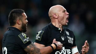 Parisse rolls back the years to guide Toulon to Challenge Cup title