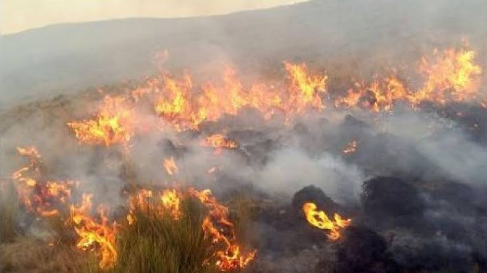 Emergenza incendi in Per&ugrave;, distrutti 3.300 ettari