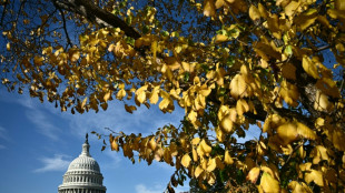 Le Congr&egrave;s am&eacute;ricain en passe de mettre fin &agrave; une paralysie budg&eacute;taire record