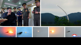Corea del Norte prueba dos "nuevos" misiles de defensa aérea, según la agencia KCNA