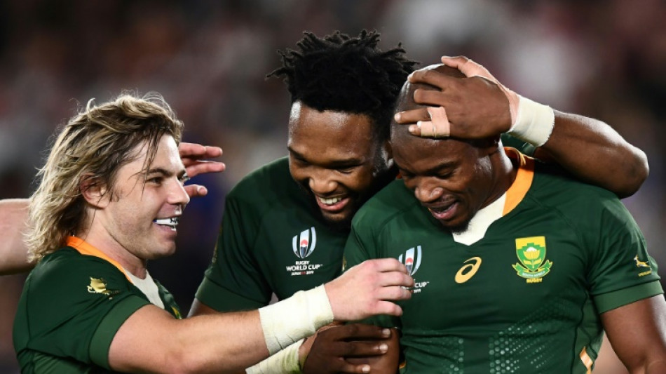 Stick or Davids set to succeed Nienaber as Springboks coach