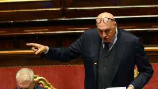 Crosetto, 'in Groenlandia coordini la Nato, serve unire e non spaccare'