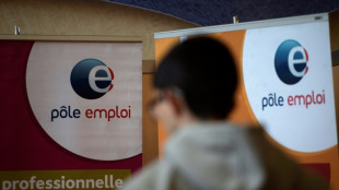 Le ch&ocirc;mage en France se stabilise et confirme la bonne forme de l'emploi