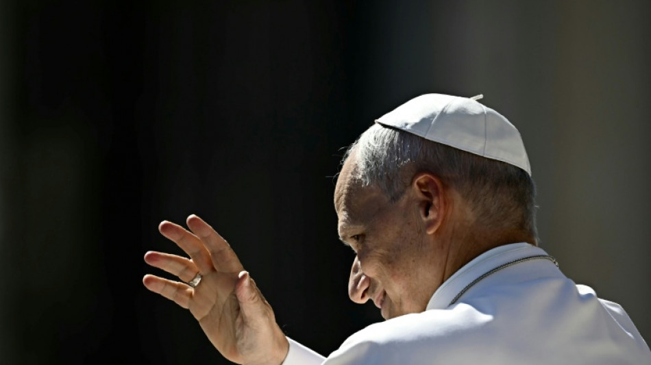 Leo XIV. ruft zu "vorausschauendem" Handeln gegen Klimawandel auf