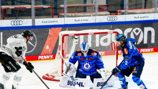 DEL: Haie setzen Siegesserie fort