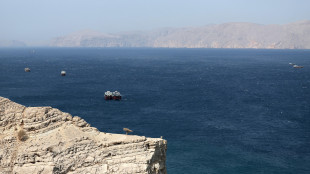 Media, 'centinaia di petroliere e navi di Gnl ferme ai lati di Hormuz'