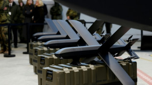 Von Notz kritisiert Gesetzes&auml;nderung zum Drohnenabschuss: Keine Verbesserungen